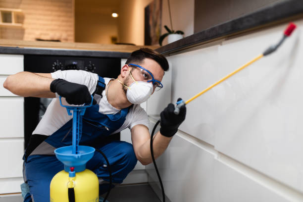 Best Pest Inspection Near Me  in Salem, IL