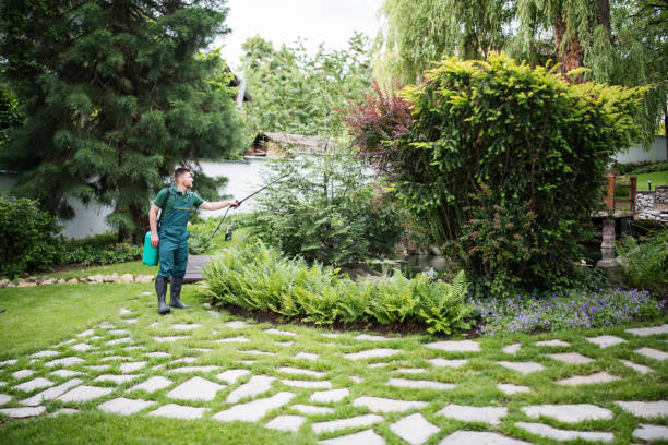 Best Best Pest Control Companies  in Salem, IL