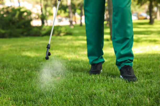 Best Wasp Removal Services  in Salem, IL