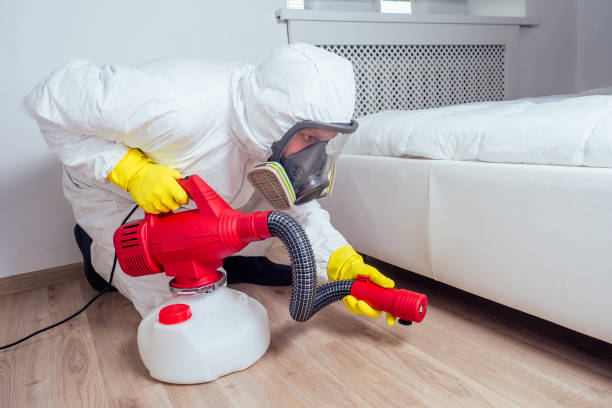Wasp Removal Services in Salem, IL